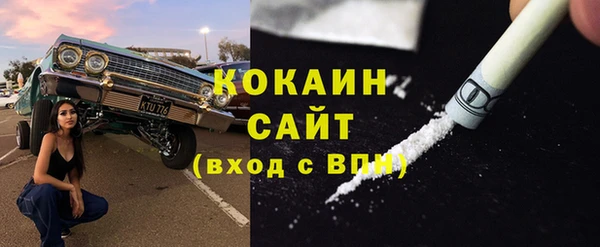гашик Горняк