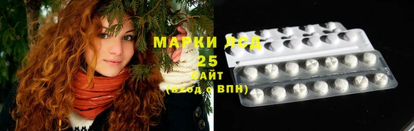 гашик Горняк