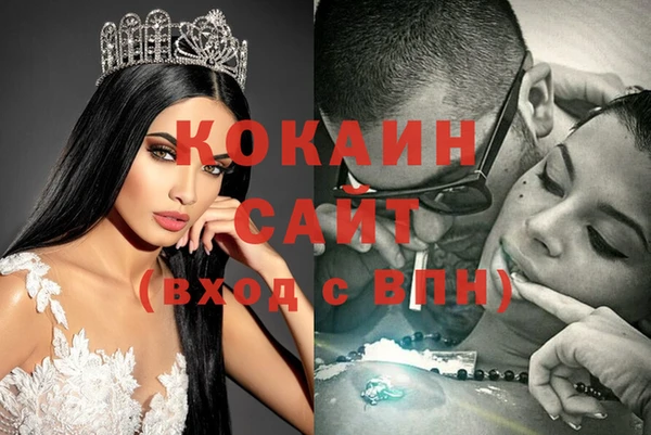 спиды Вяземский