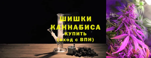 гашик Горняк