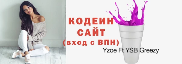 спиды Вяземский