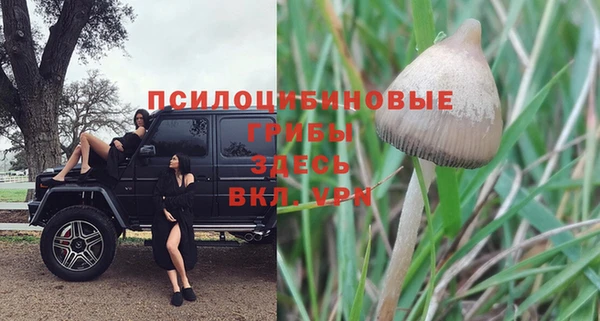 ГАЛЛЮЦИНОГЕННЫЕ ГРИБЫ Горнозаводск