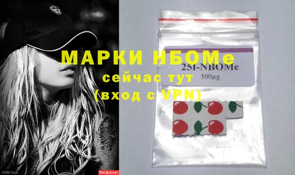 гашик Горняк