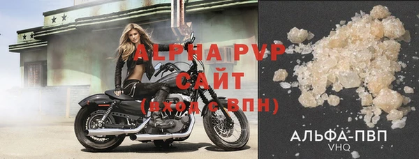 спиды Вяземский