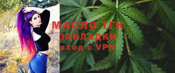 гашик Горняк