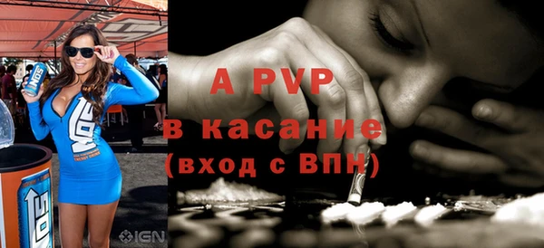 гашик Горняк